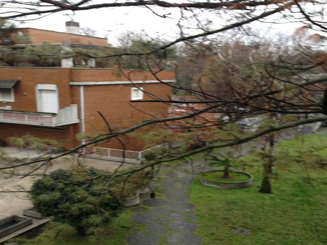 5 Locali in affitto